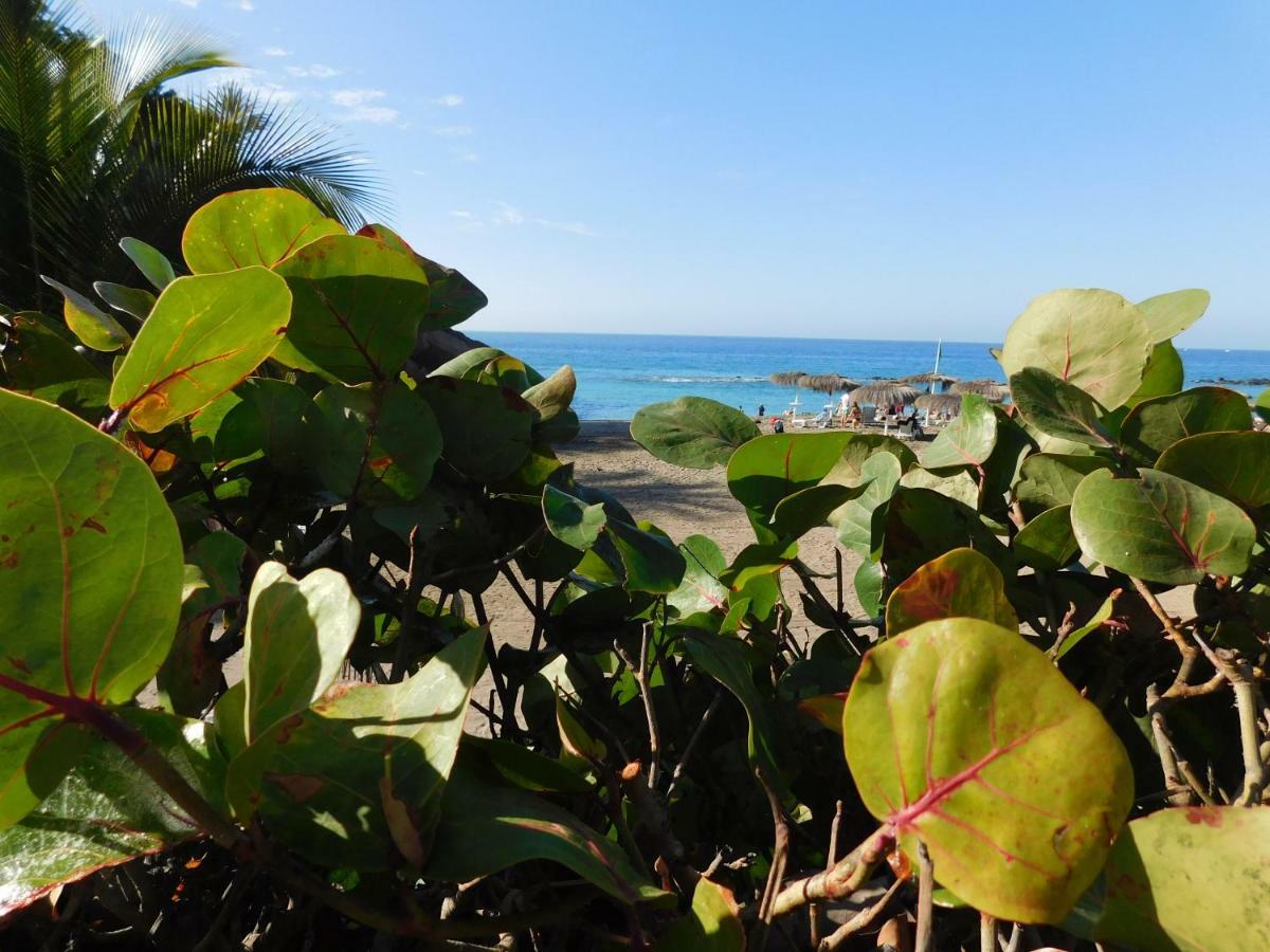 Brisas Del Mar Lägenhet Costa Adeje  Exteriör bild
