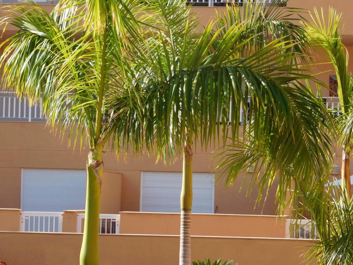 Brisas Del Mar Lägenhet Costa Adeje  Exteriör bild